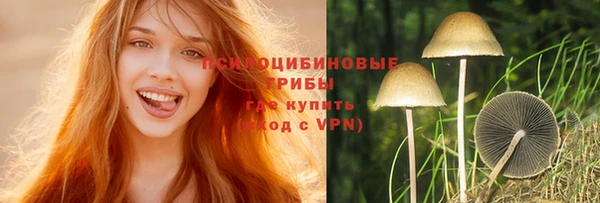 молекула духа Алексин