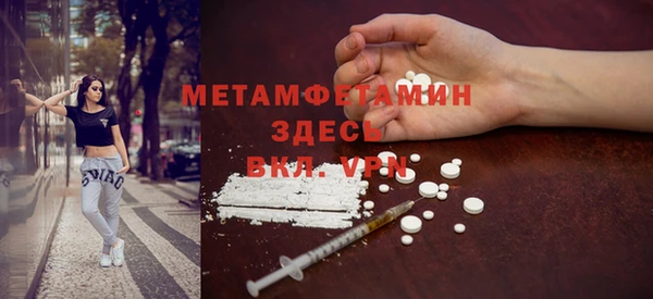 гидра Алексеевка